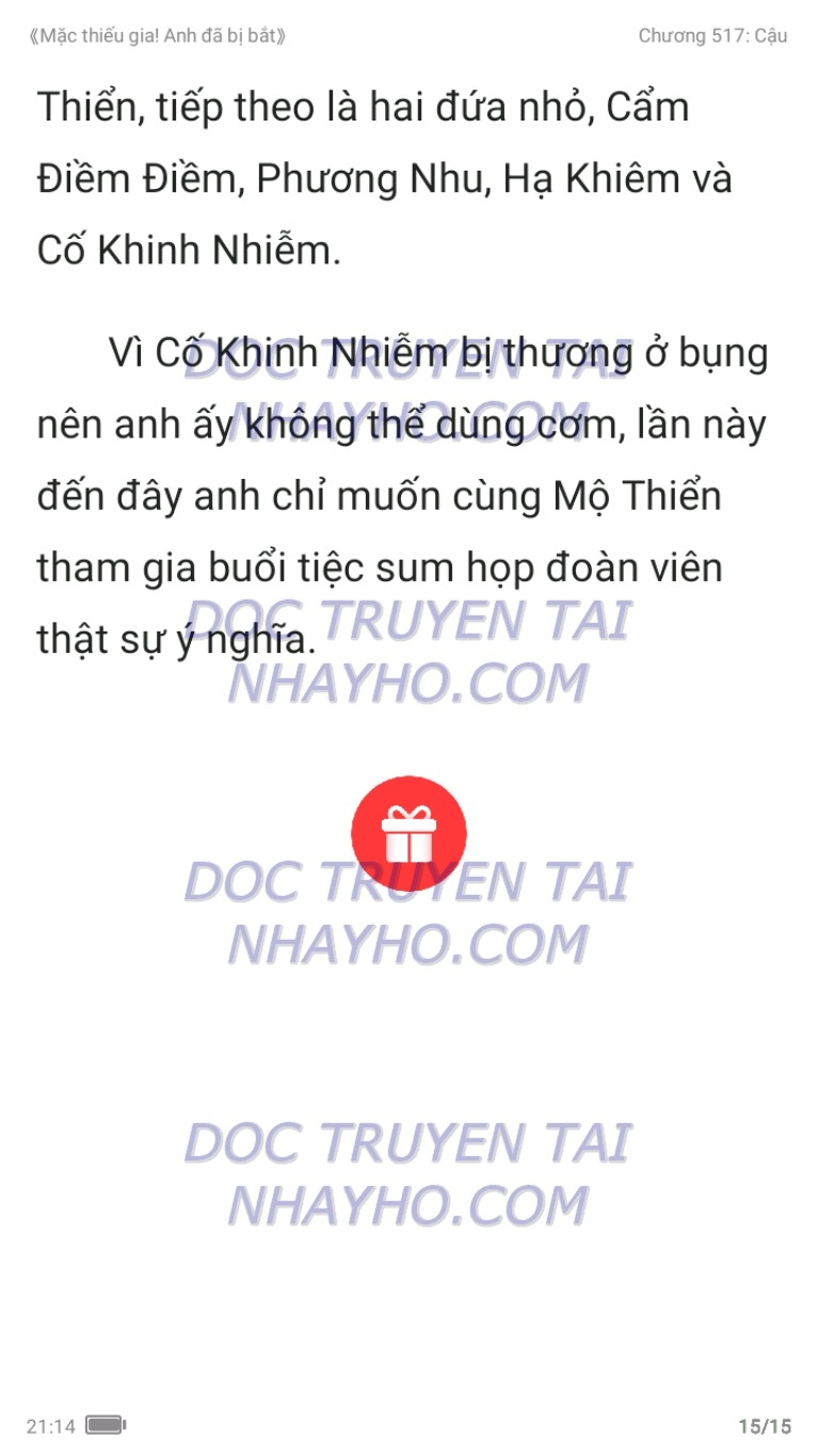 mac-thieu-gia-anh-da-bi-bat-517-14