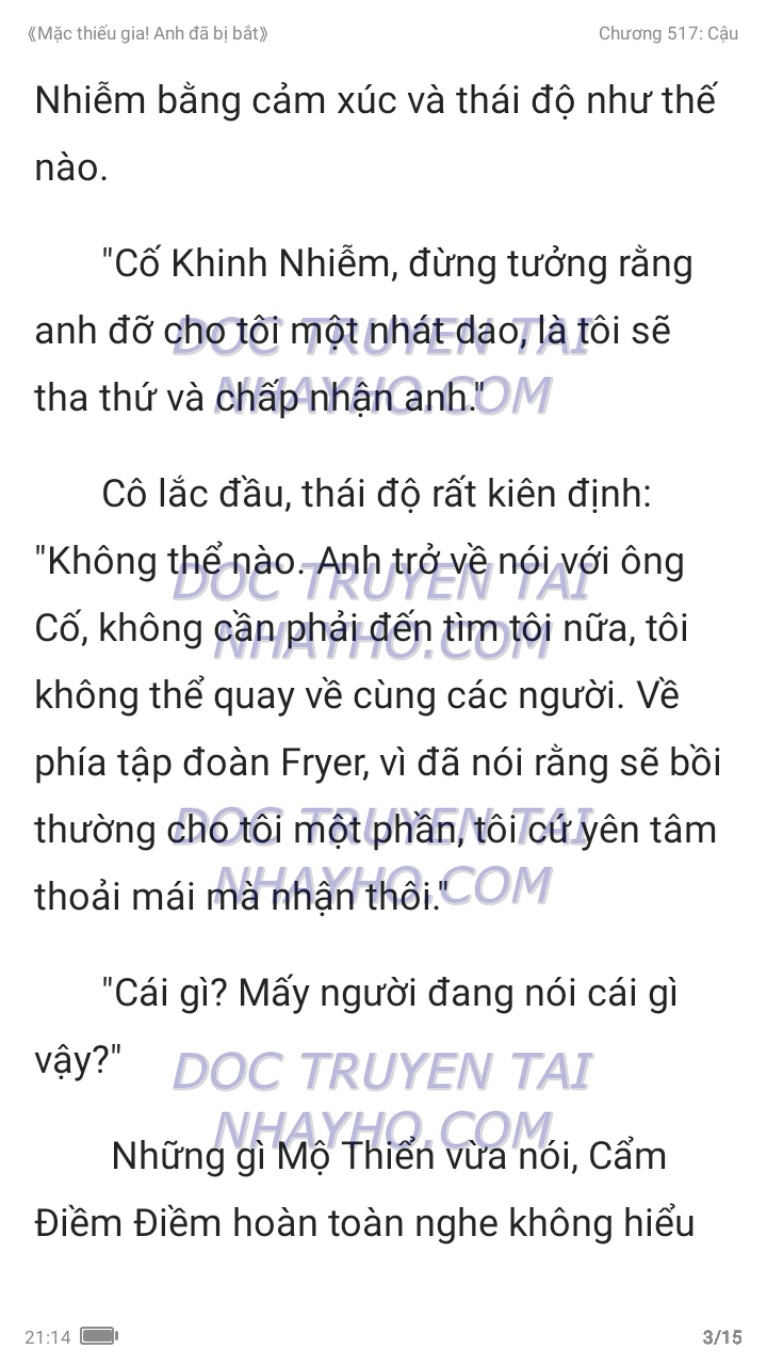 mac-thieu-gia-anh-da-bi-bat-517-2