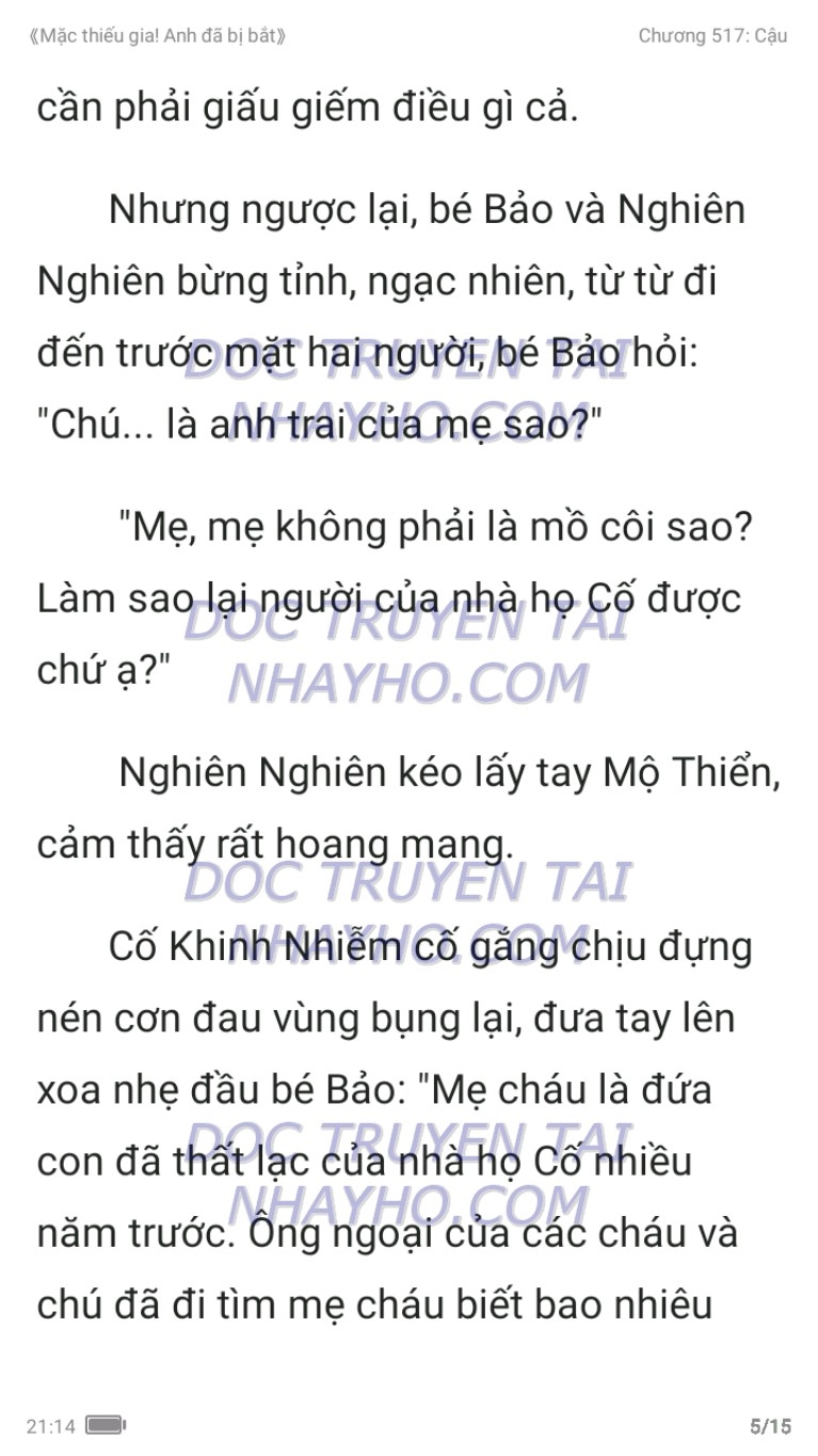 mac-thieu-gia-anh-da-bi-bat-517-4