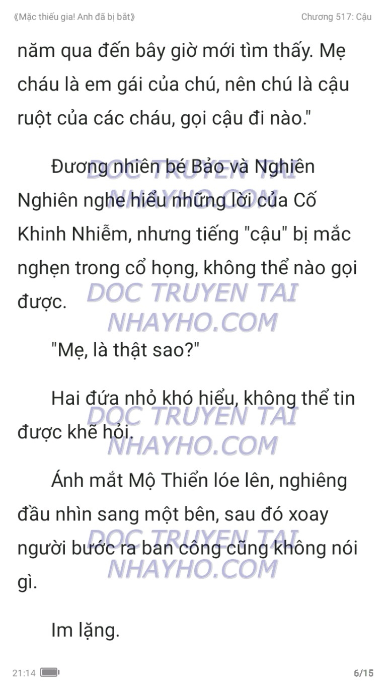 mac-thieu-gia-anh-da-bi-bat-517-5