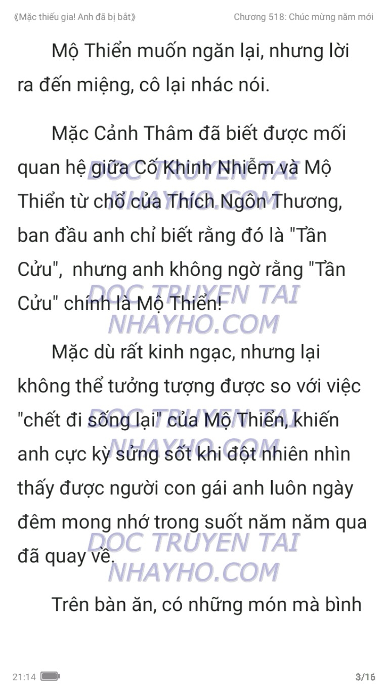 mac-thieu-gia-anh-da-bi-bat-518-2