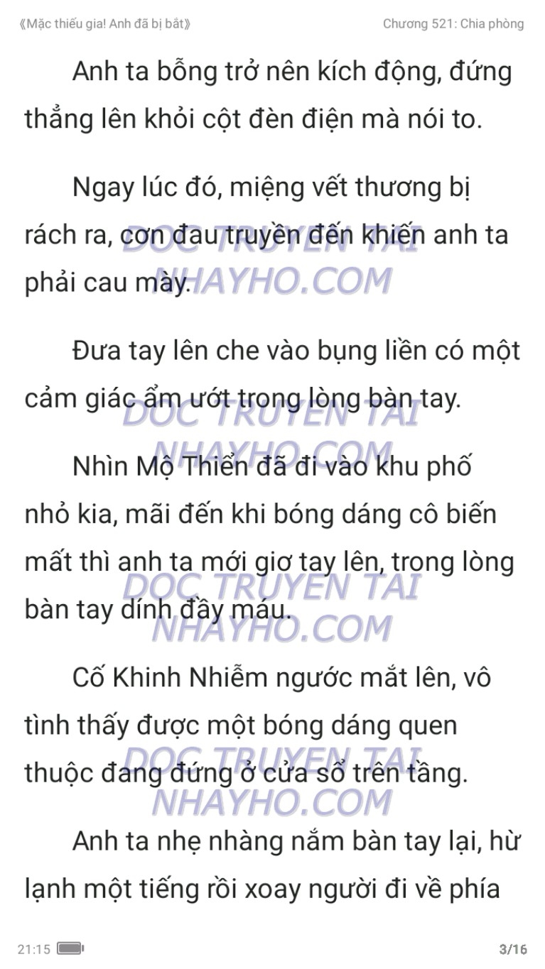 mac-thieu-gia-anh-da-bi-bat-521-2