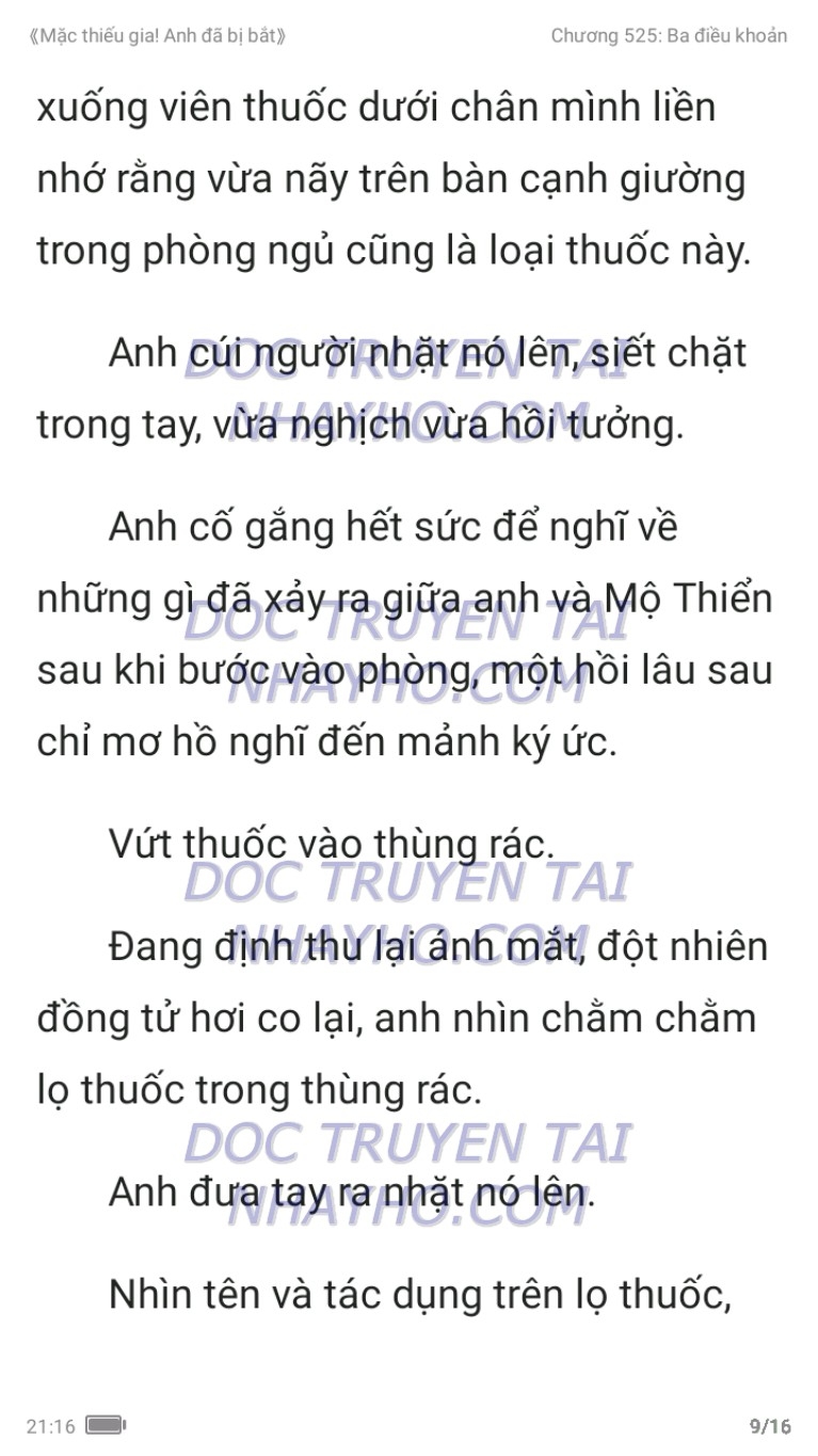 mac-thieu-gia-anh-da-bi-bat-525-8