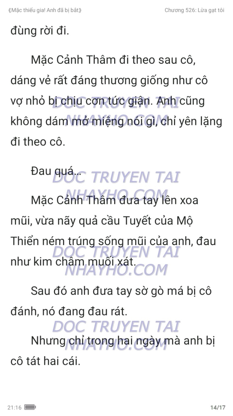 mac-thieu-gia-anh-da-bi-bat-526-13