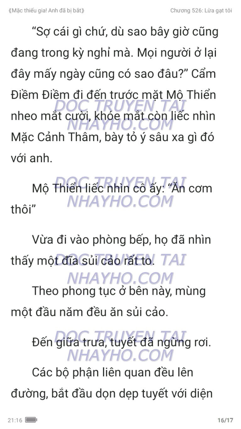 mac-thieu-gia-anh-da-bi-bat-526-15