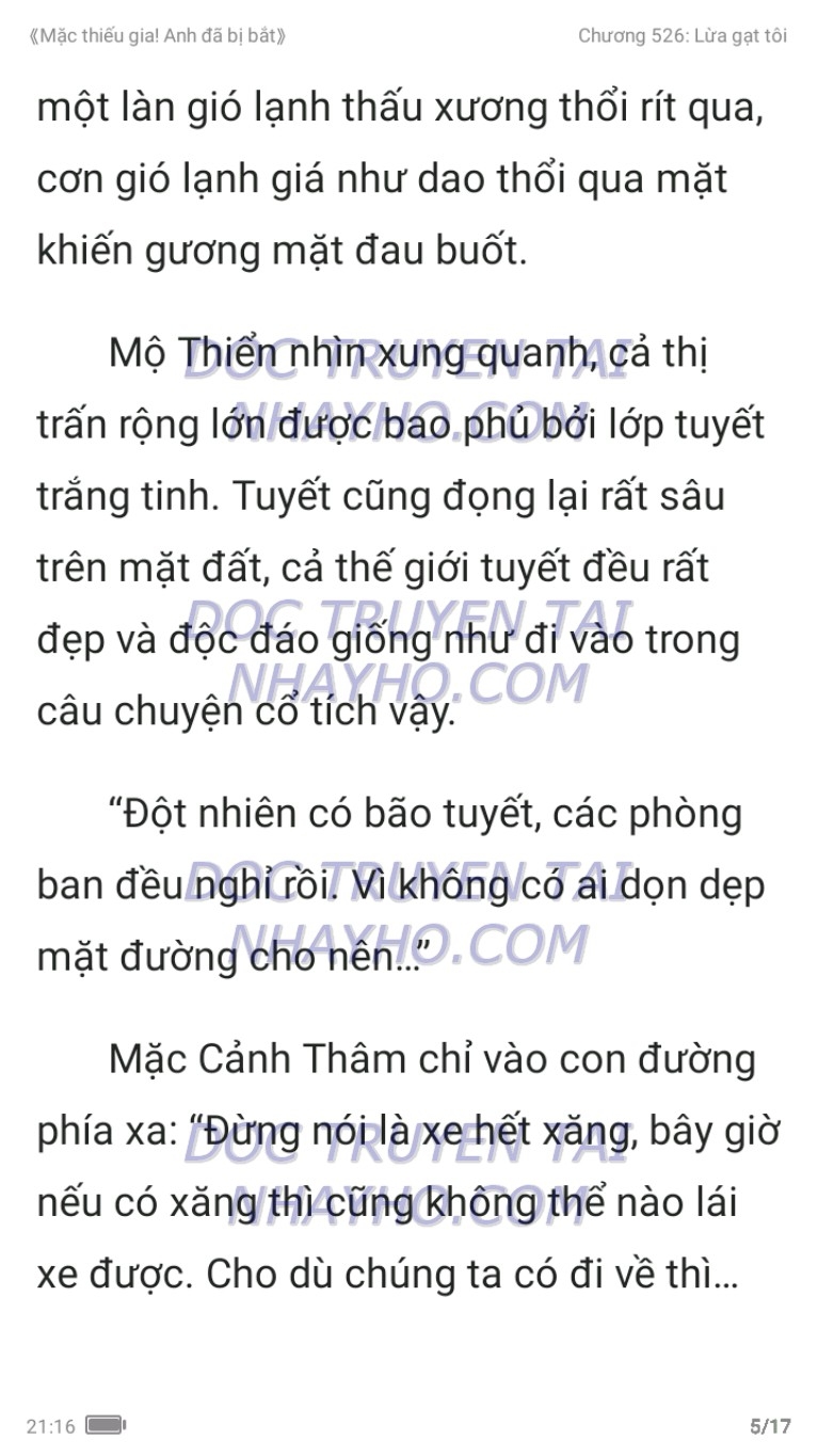 mac-thieu-gia-anh-da-bi-bat-526-4