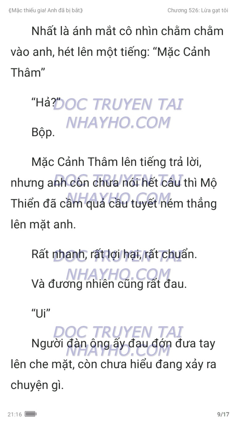 mac-thieu-gia-anh-da-bi-bat-526-8