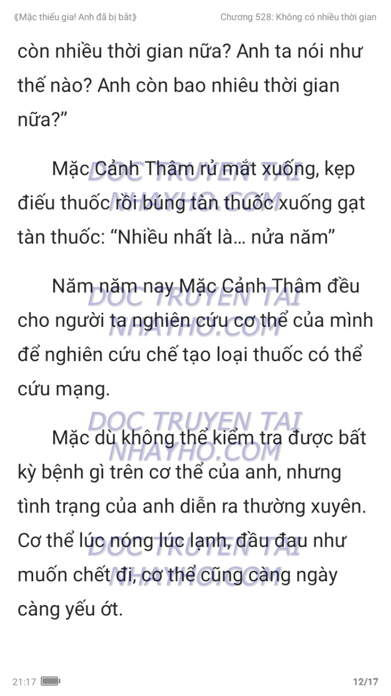 mac-thieu-gia-anh-da-bi-bat-528-11