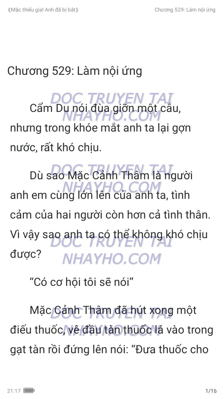 mac-thieu-gia-anh-da-bi-bat-529-0