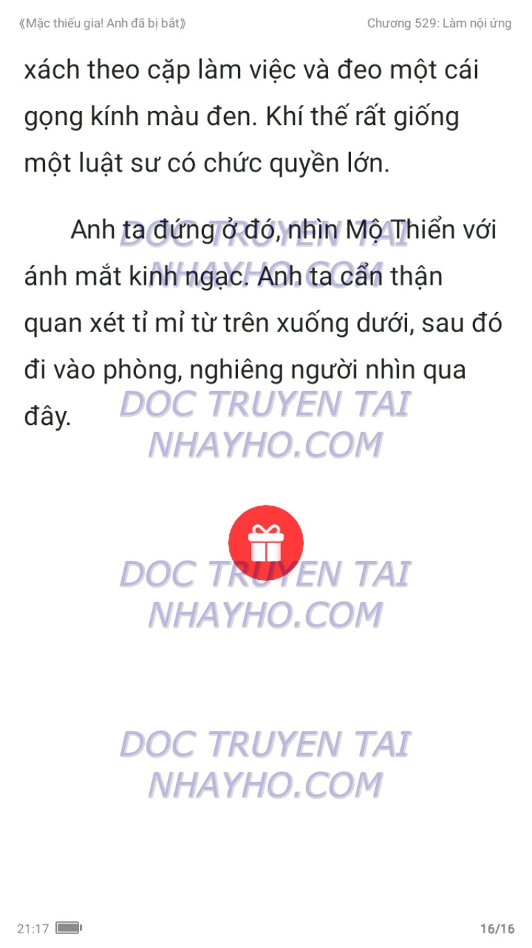 mac-thieu-gia-anh-da-bi-bat-529-15