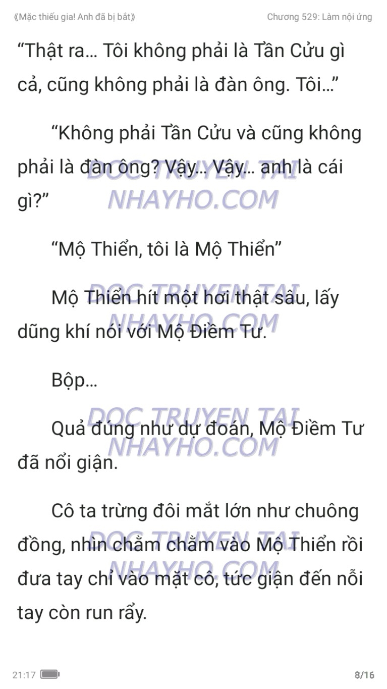 mac-thieu-gia-anh-da-bi-bat-529-7