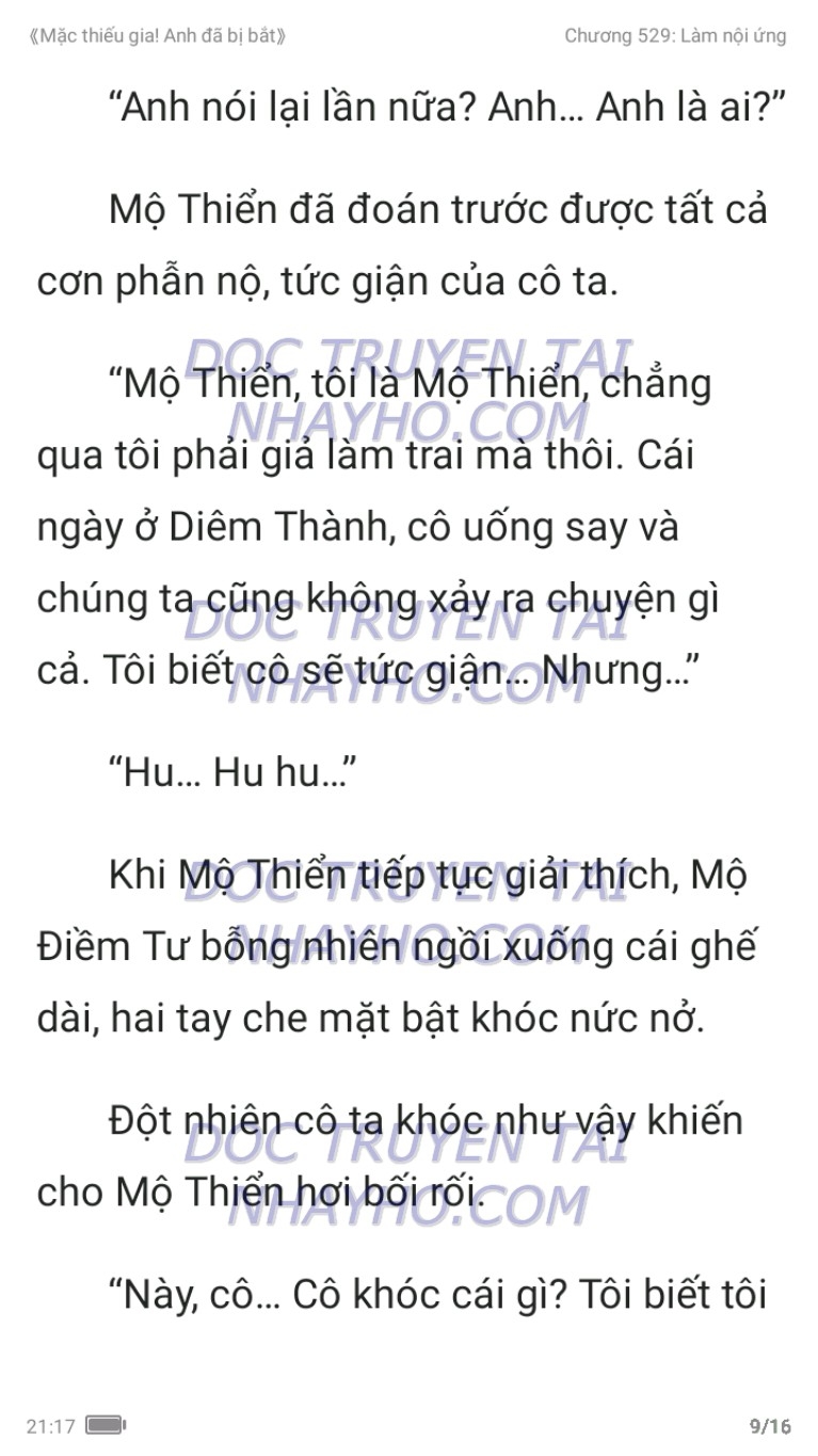 mac-thieu-gia-anh-da-bi-bat-529-8