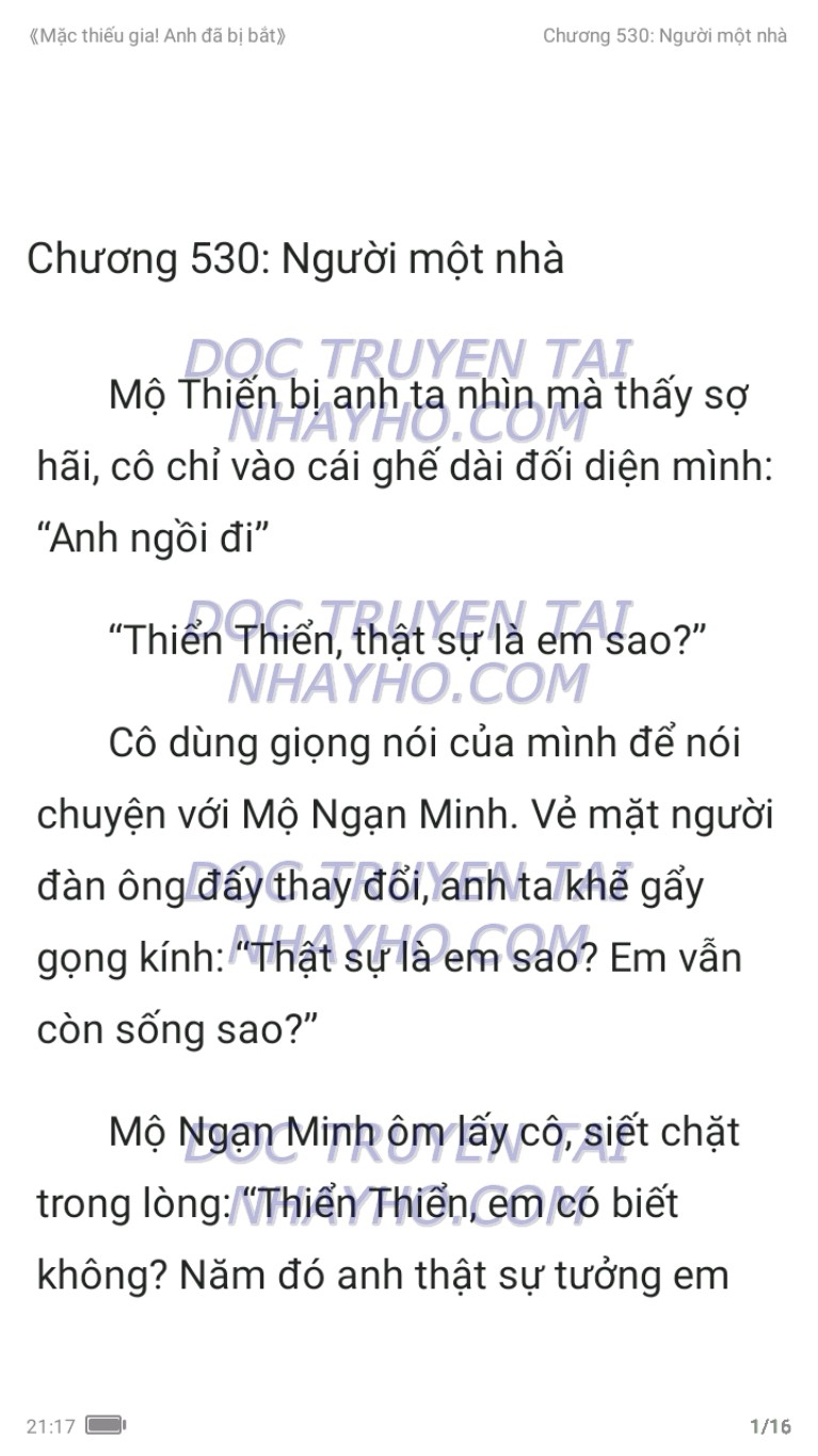 mac-thieu-gia-anh-da-bi-bat-530-0