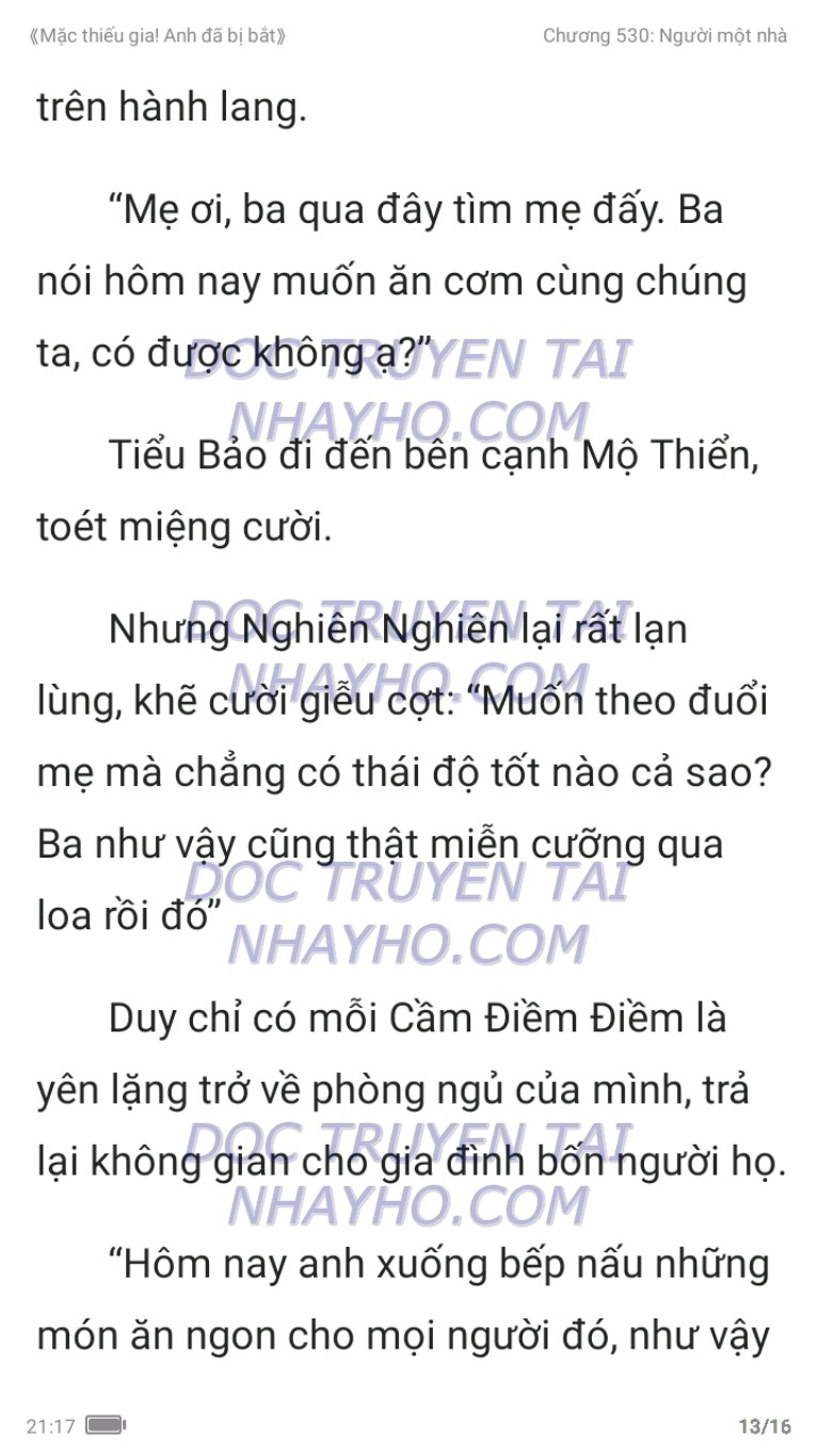 mac-thieu-gia-anh-da-bi-bat-530-12