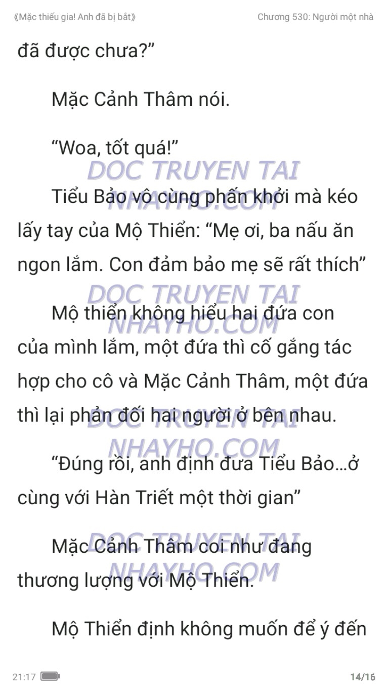 mac-thieu-gia-anh-da-bi-bat-530-13