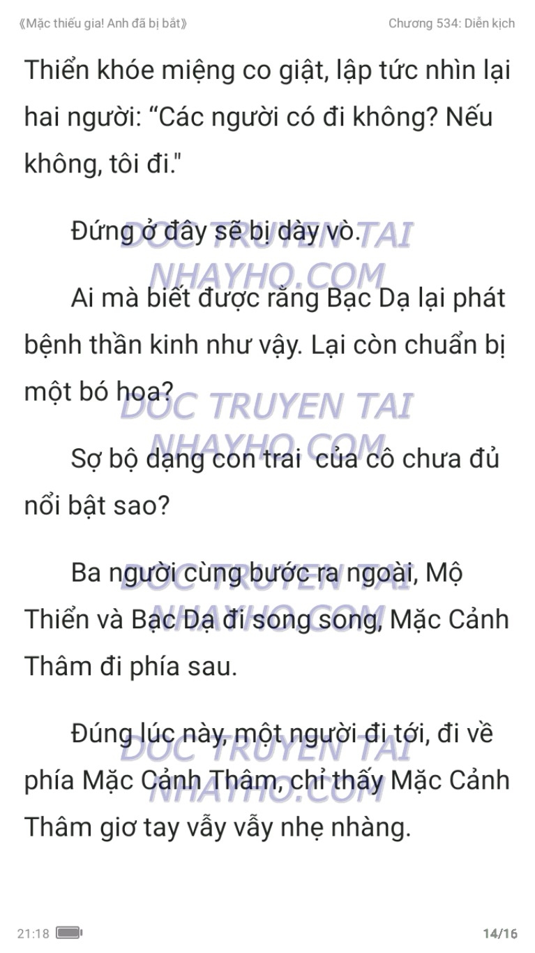 mac-thieu-gia-anh-da-bi-bat-534-13