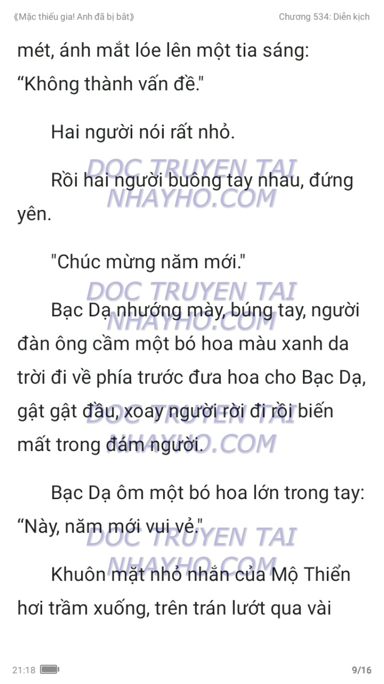 mac-thieu-gia-anh-da-bi-bat-534-8