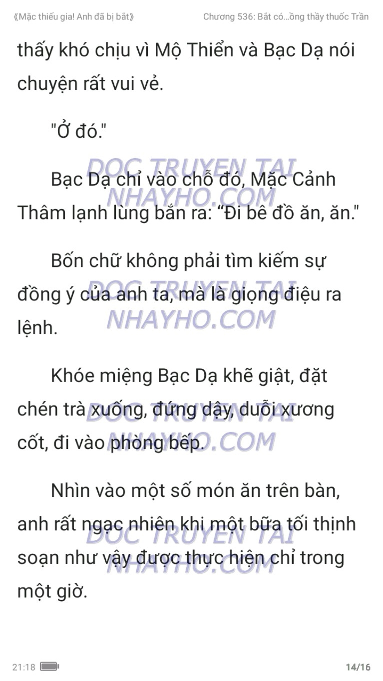 mac-thieu-gia-anh-da-bi-bat-536-13