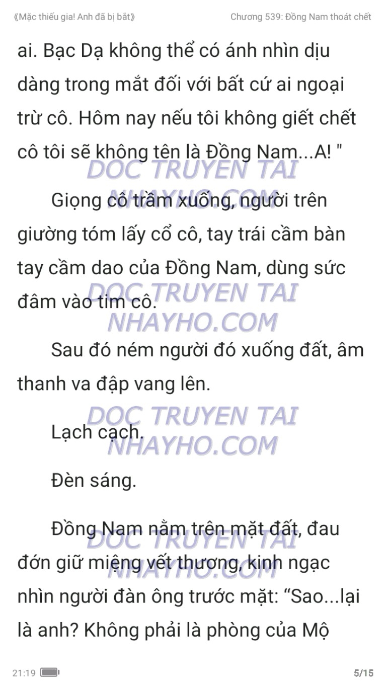 mac-thieu-gia-anh-da-bi-bat-539-4