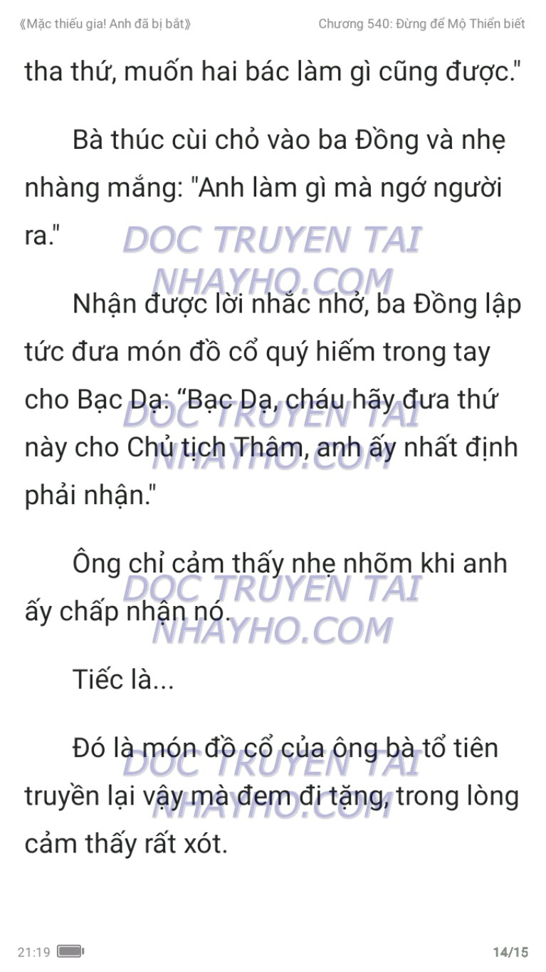 mac-thieu-gia-anh-da-bi-bat-540-13