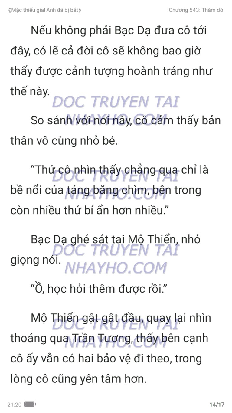 mac-thieu-gia-anh-da-bi-bat-543-13