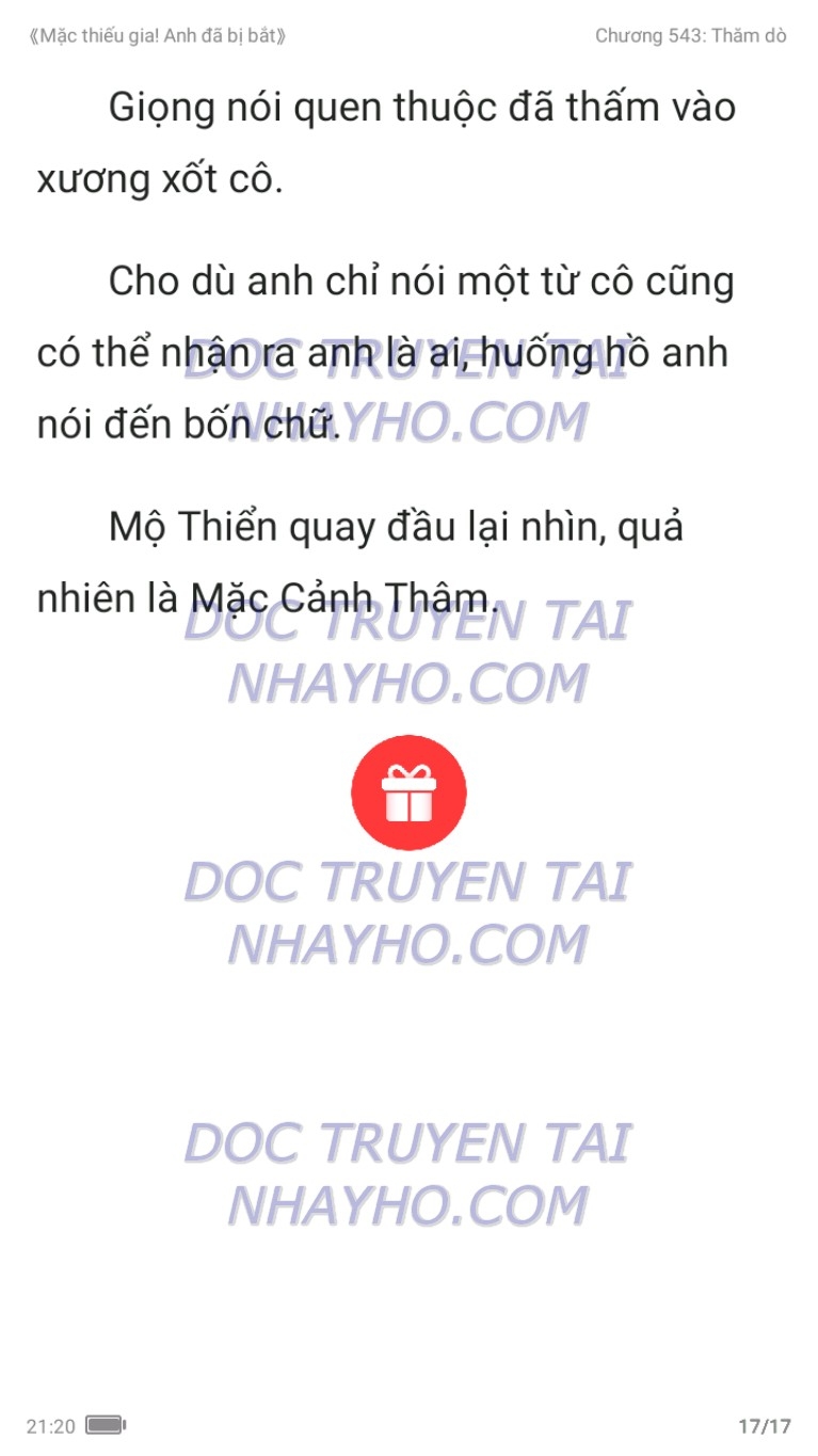 mac-thieu-gia-anh-da-bi-bat-543-16