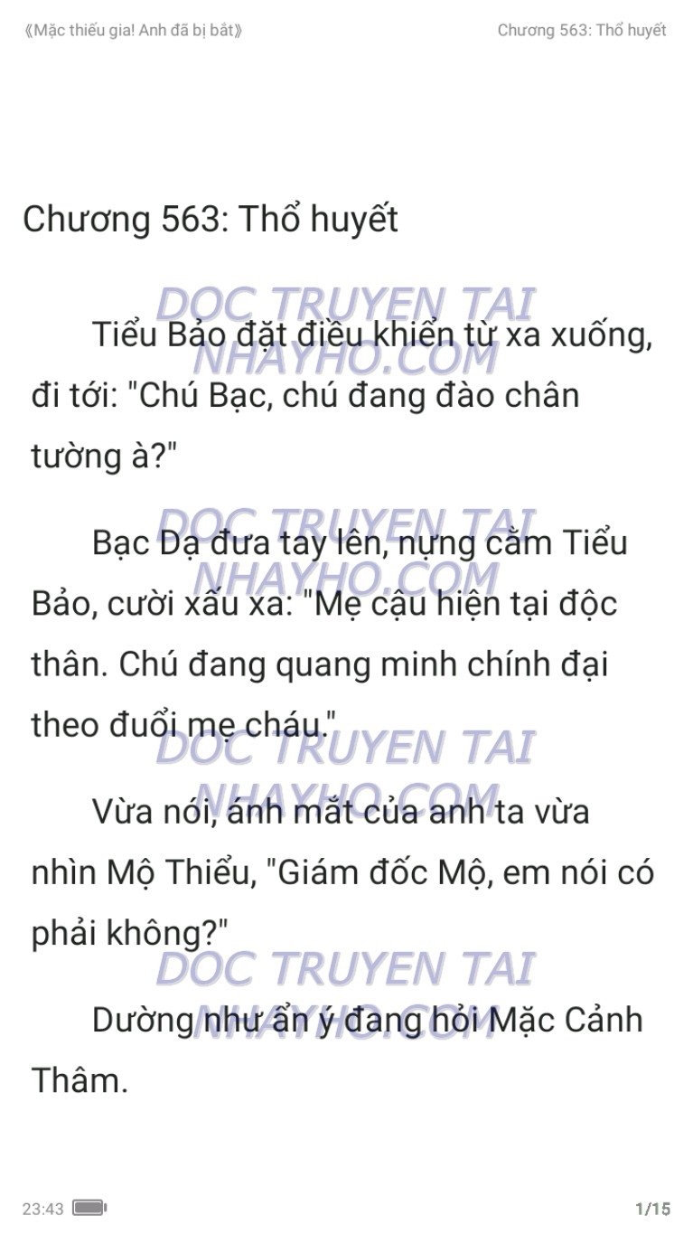 mac-thieu-gia-anh-da-bi-bat-563-0