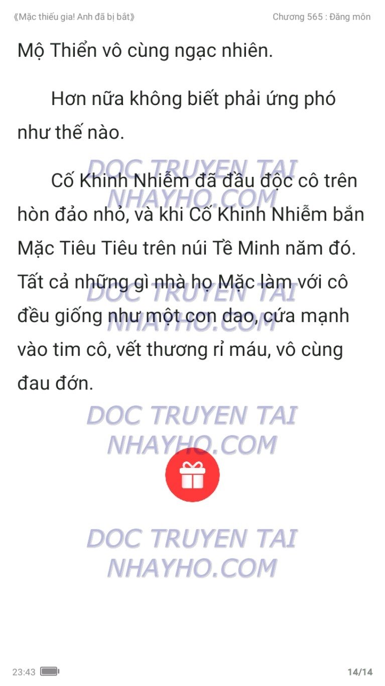 mac-thieu-gia-anh-da-bi-bat-565-13