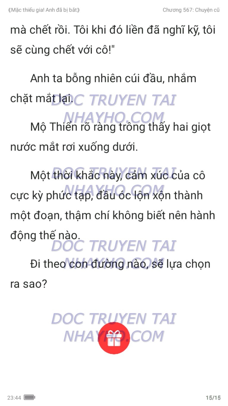 mac-thieu-gia-anh-da-bi-bat-567-14