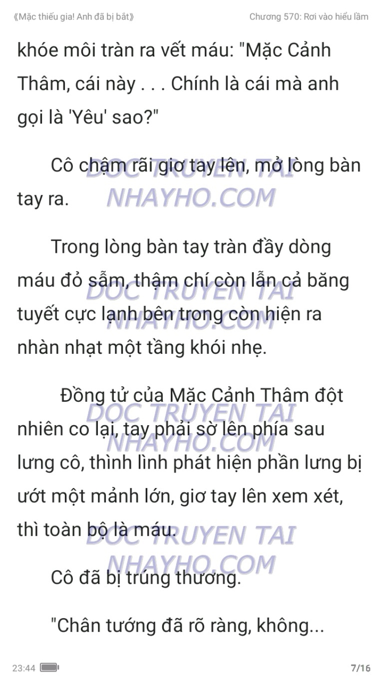 mac-thieu-gia-anh-da-bi-bat-570-6