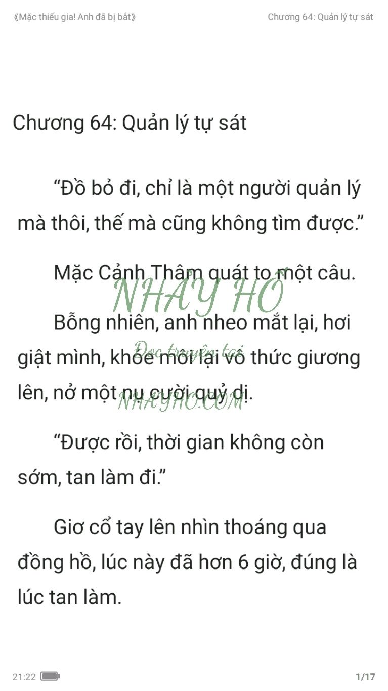 mac-thieu-gia-anh-da-bi-bat-64-0