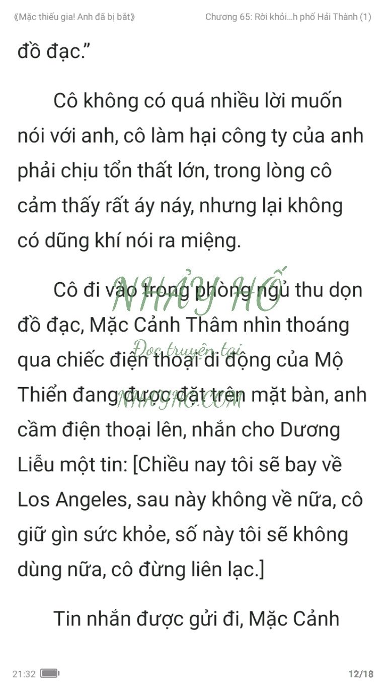 mac-thieu-gia-anh-da-bi-bat-65-11