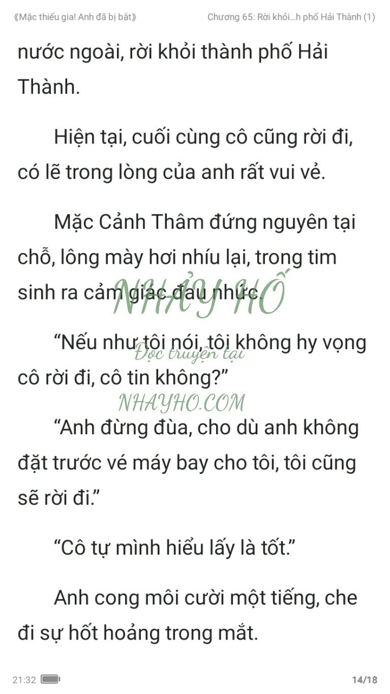 mac-thieu-gia-anh-da-bi-bat-65-13