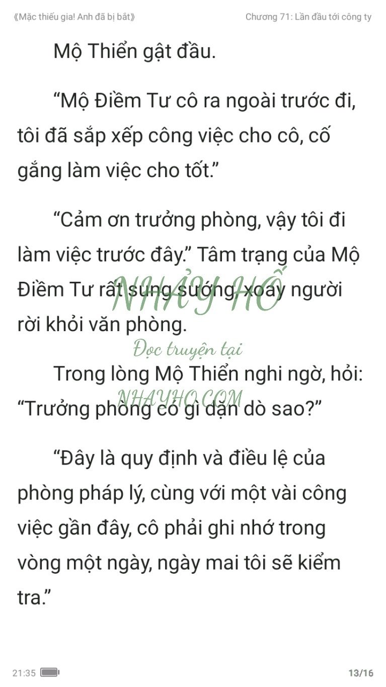 mac-thieu-gia-anh-da-bi-bat-71-12