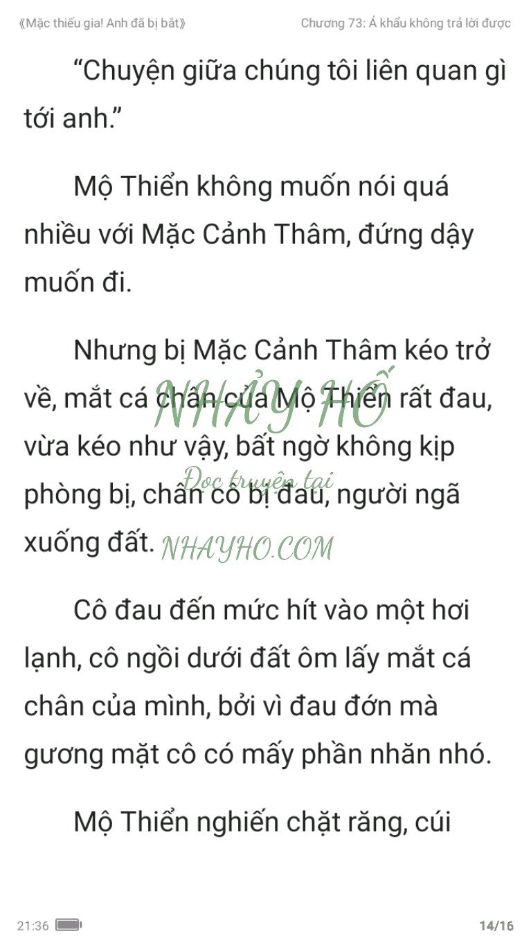 mac-thieu-gia-anh-da-bi-bat-73-13