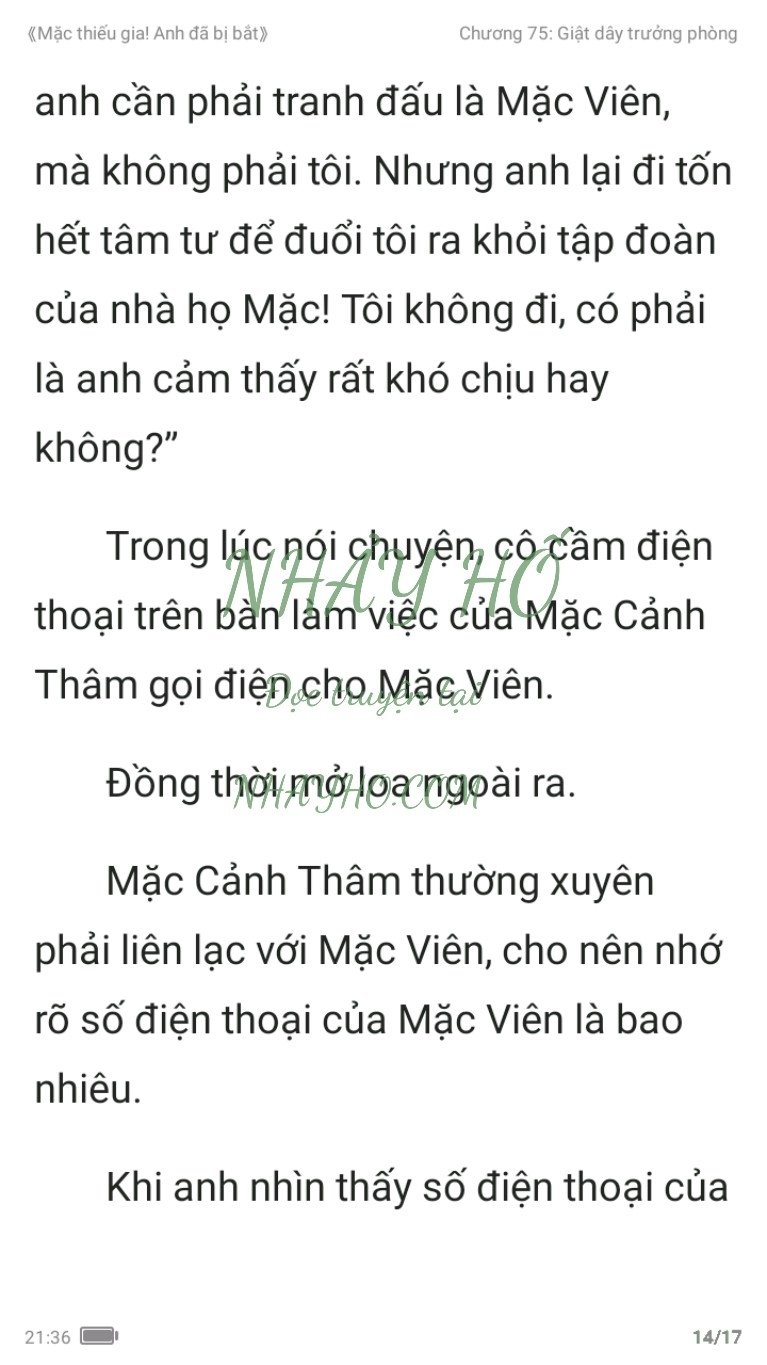 mac-thieu-gia-anh-da-bi-bat-75-13