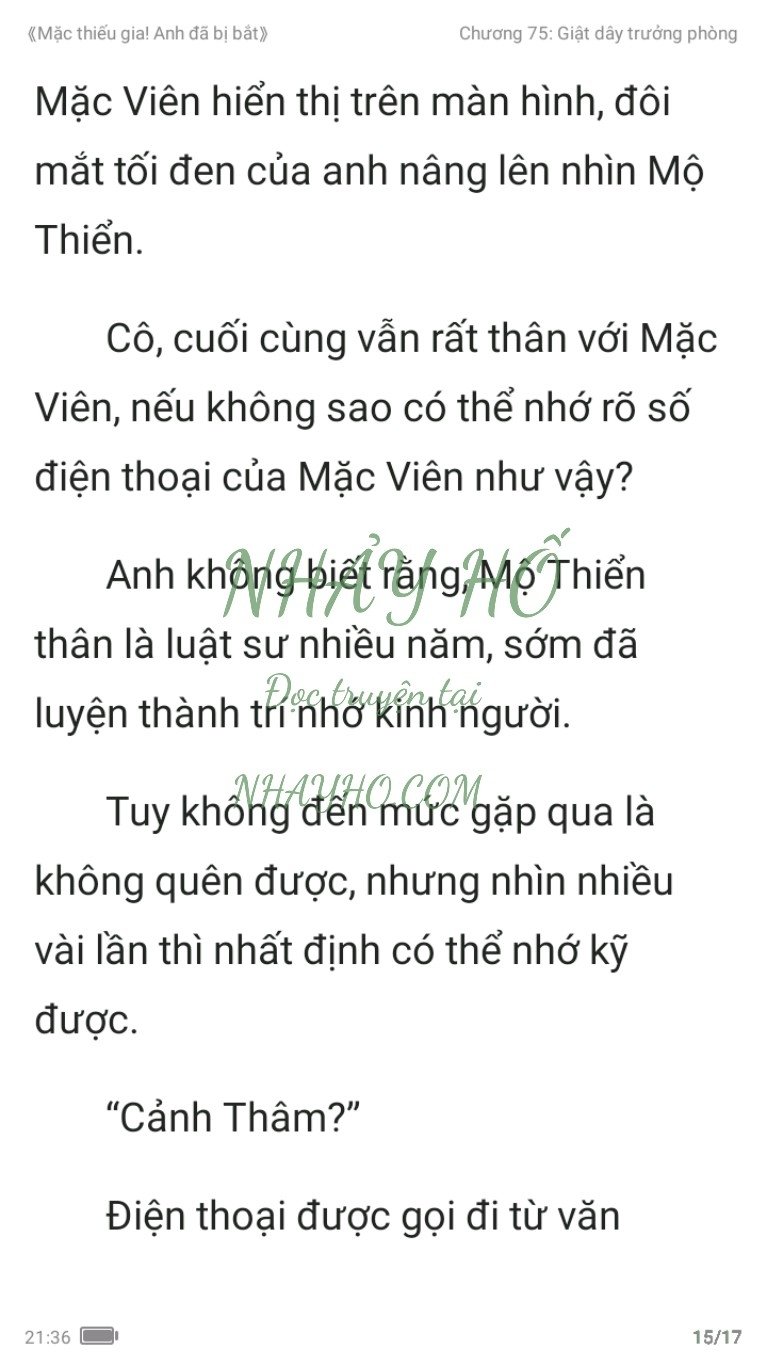 mac-thieu-gia-anh-da-bi-bat-75-14