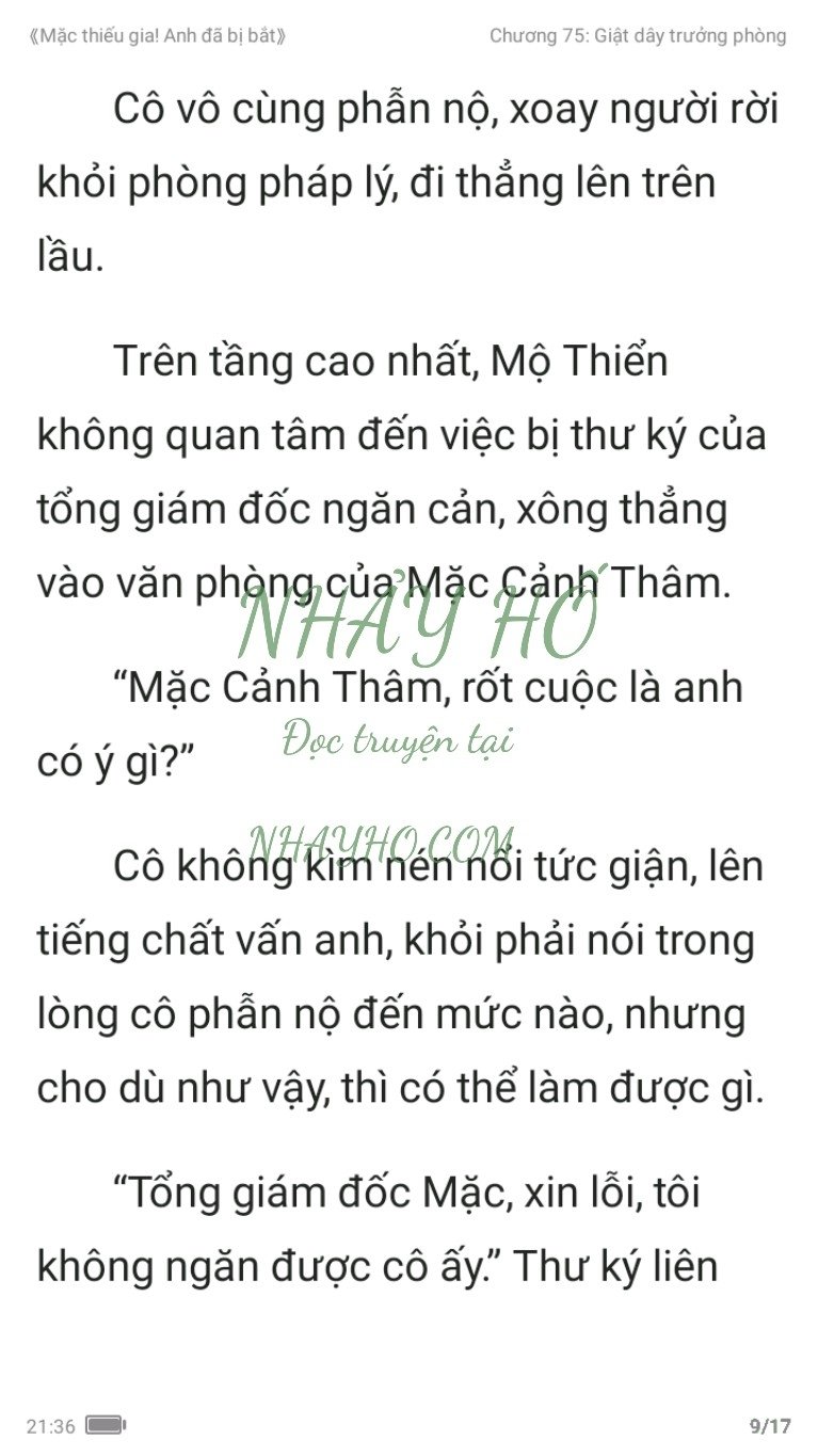 mac-thieu-gia-anh-da-bi-bat-75-8