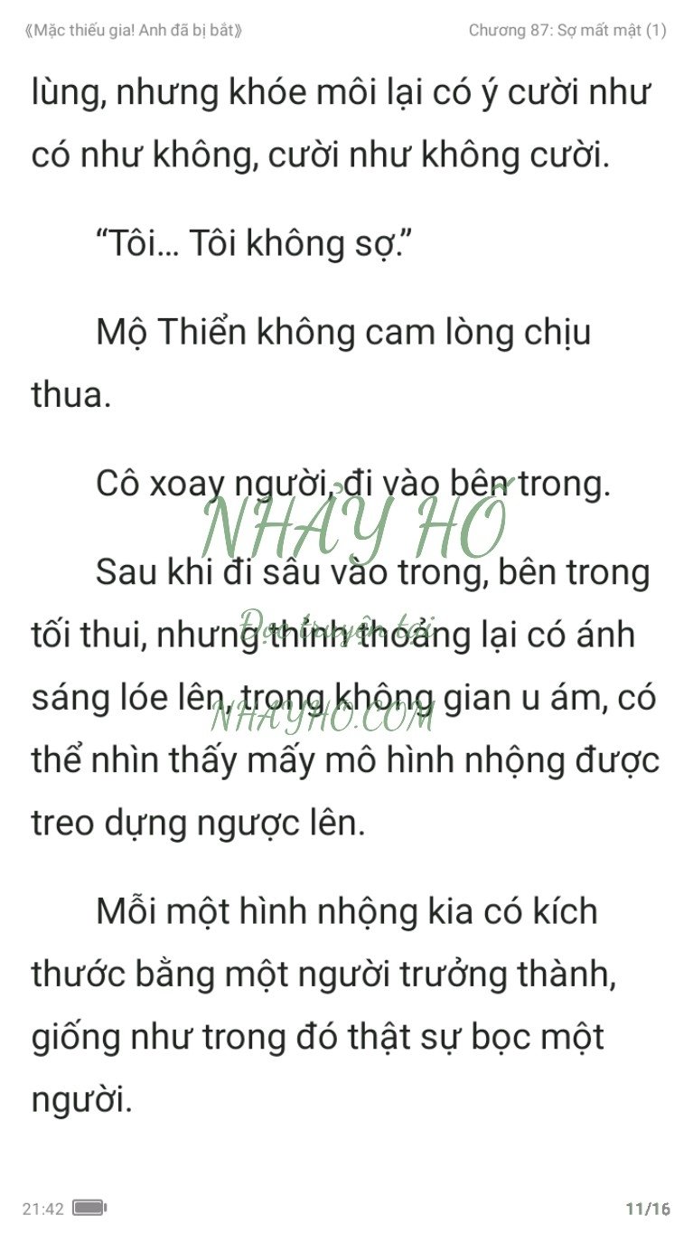 mac-thieu-gia-anh-da-bi-bat-87-10