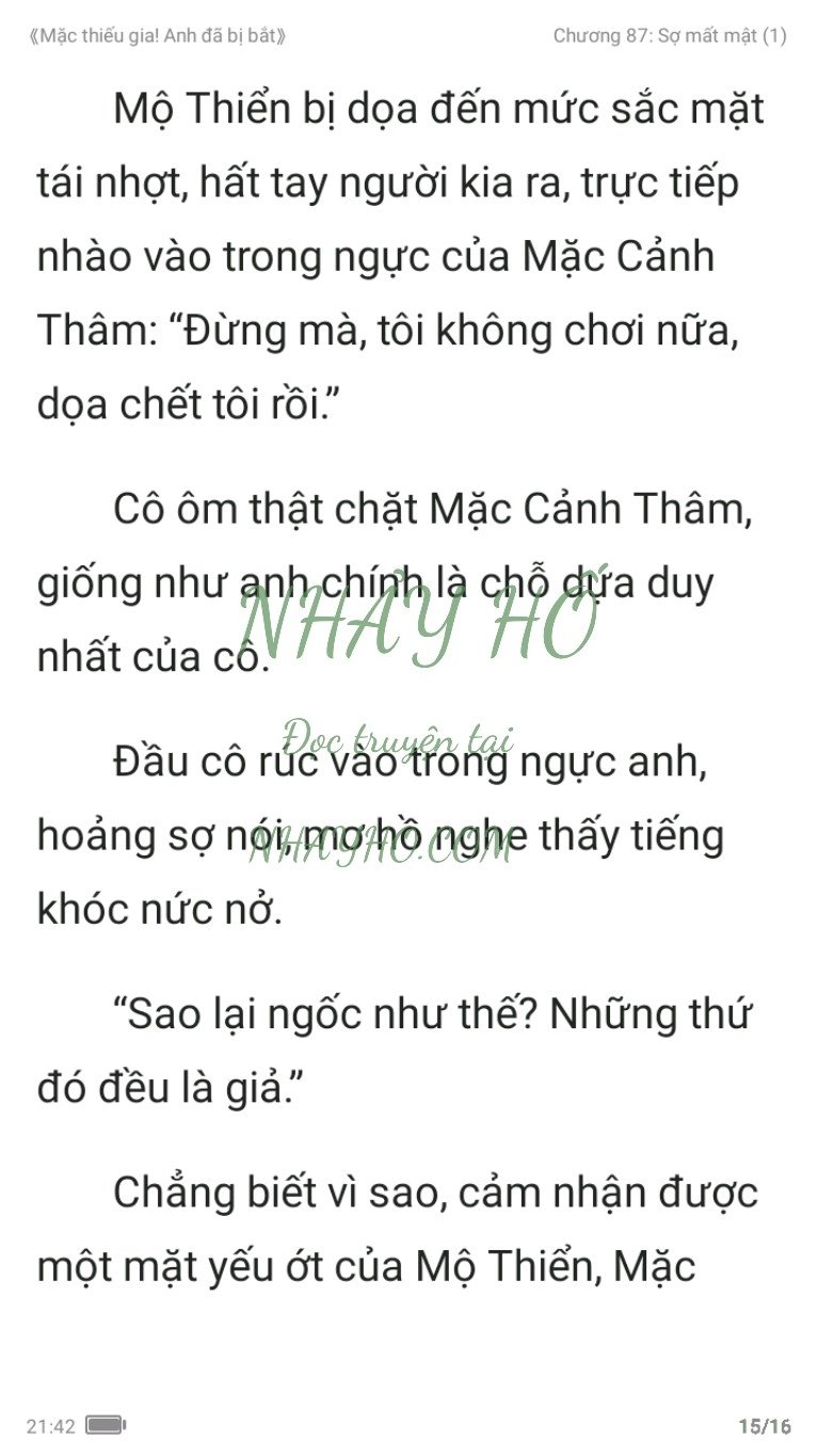 mac-thieu-gia-anh-da-bi-bat-87-14