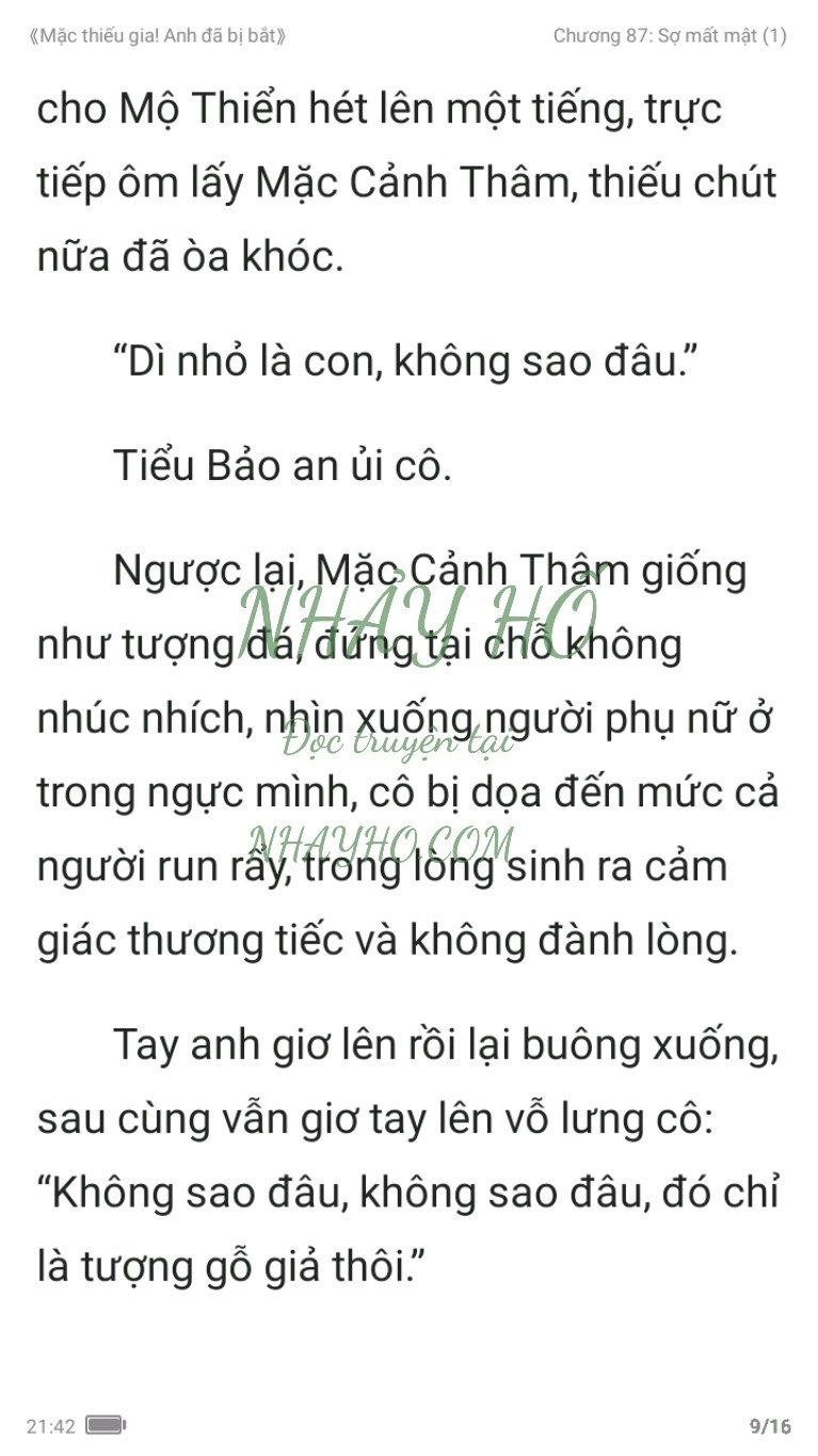 mac-thieu-gia-anh-da-bi-bat-87-8