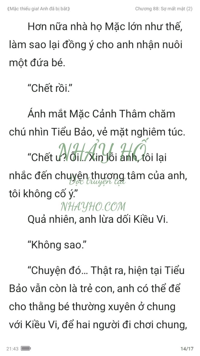 mac-thieu-gia-anh-da-bi-bat-88-13