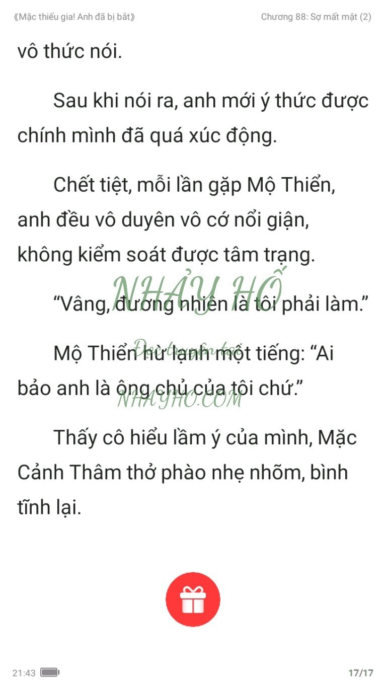 mac-thieu-gia-anh-da-bi-bat-88-16