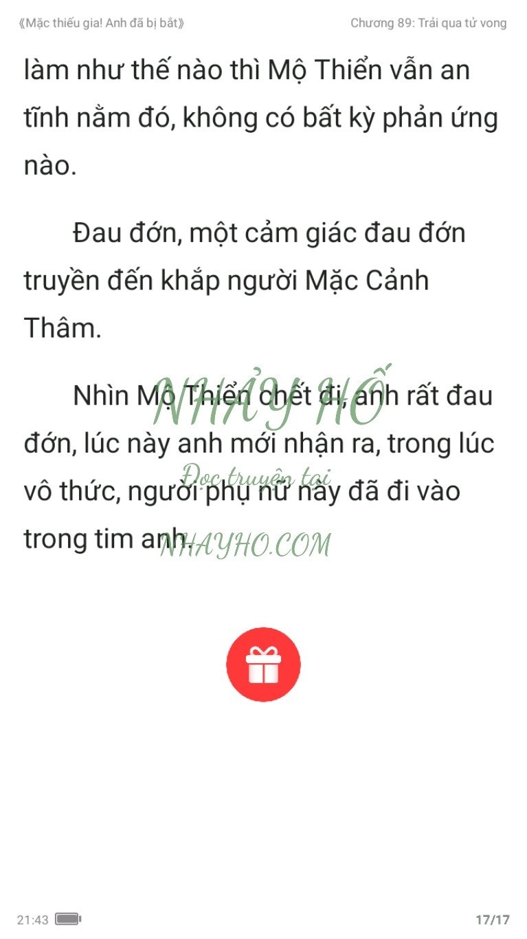 mac-thieu-gia-anh-da-bi-bat-89-16