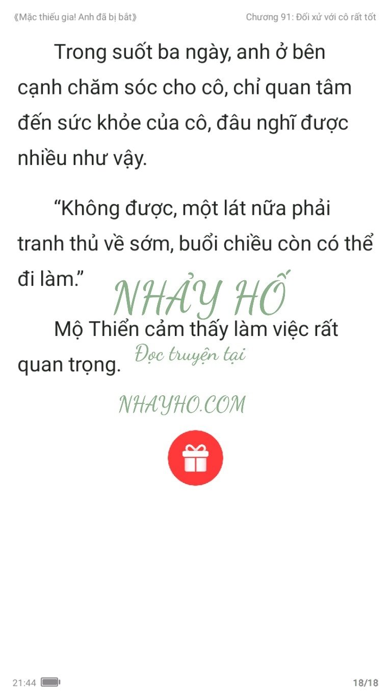 mac-thieu-gia-anh-da-bi-bat-91-17