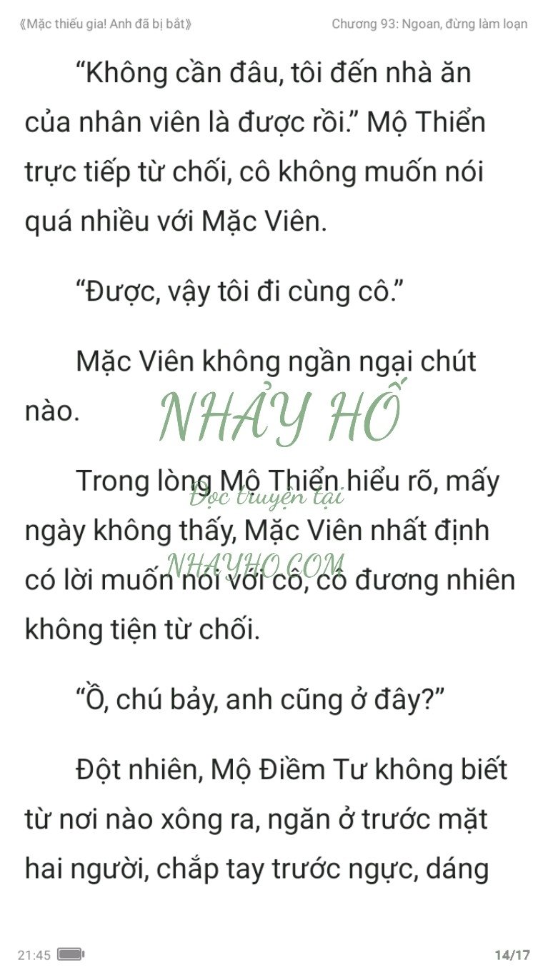 mac-thieu-gia-anh-da-bi-bat-93-13