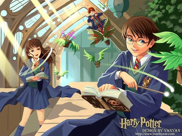 bao-ho-harry-potter-dong-nhan-110-2