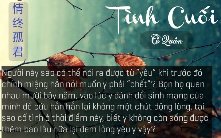 tinh-chung-80-0