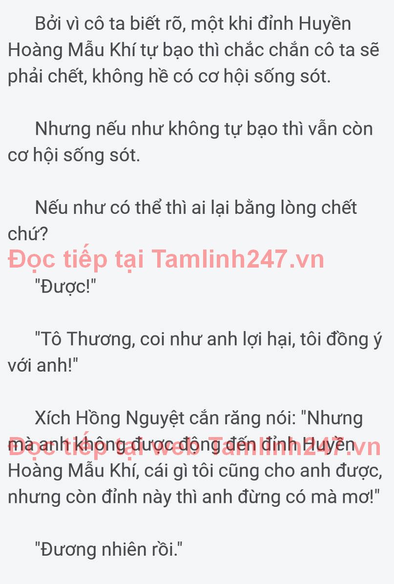 toi-o-thanh-pho-bat-dau-tu-tien-1785-3