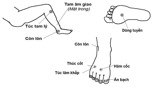 si-vi-tri-ky-35-0